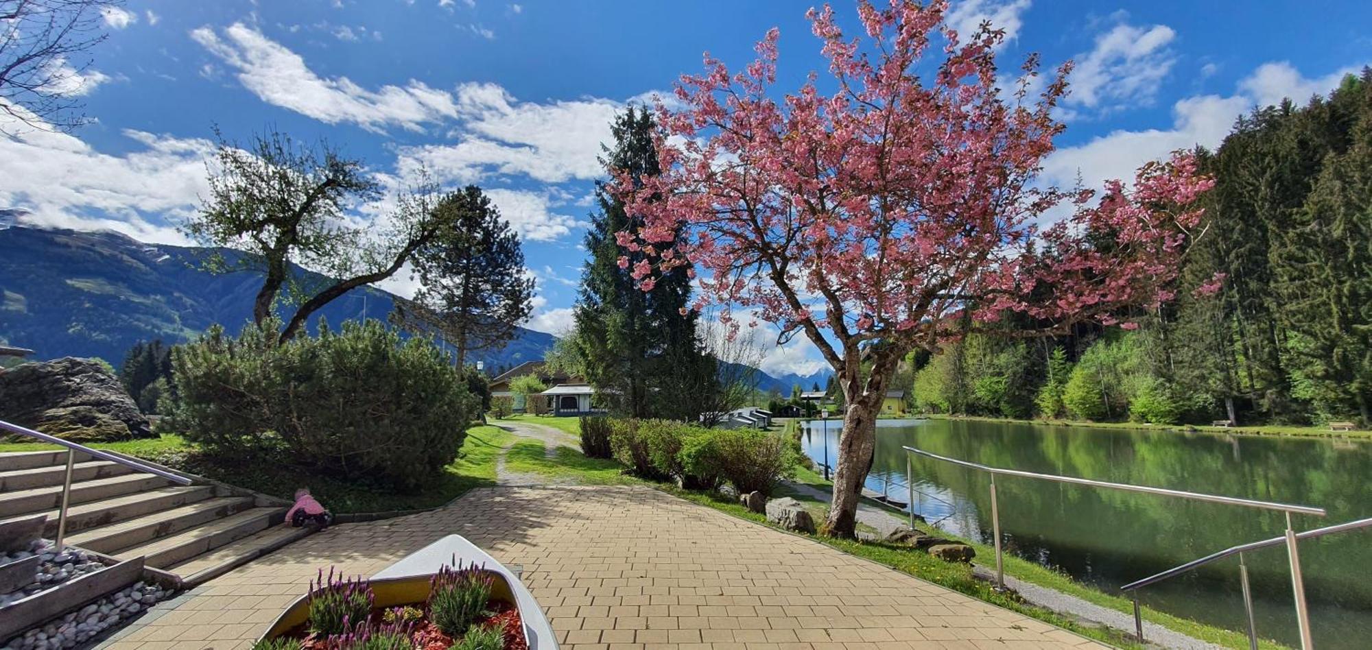 Hotel Bad Neunbrunnen Am Waldsee Maishofen Exteriör bild